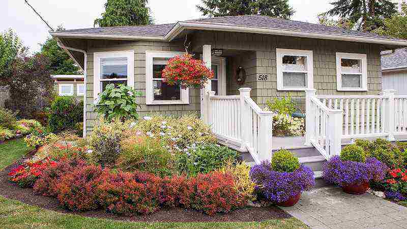 How to Create a Functional and Beautiful Landscape Design: A Complete Homeowner’s Guide